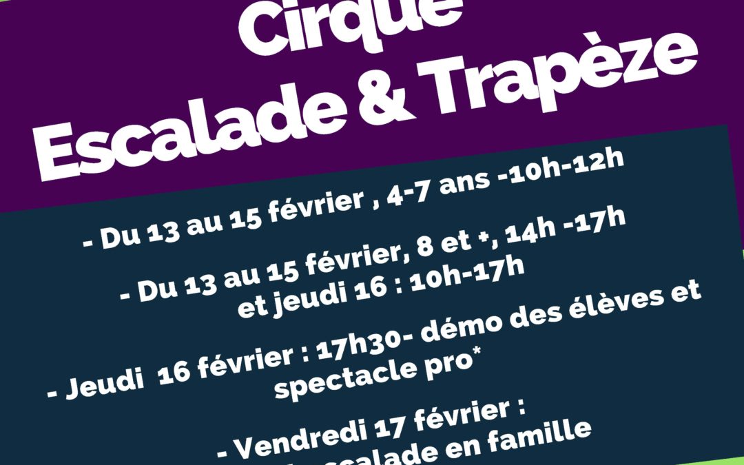cirquescalade-et-trapeze