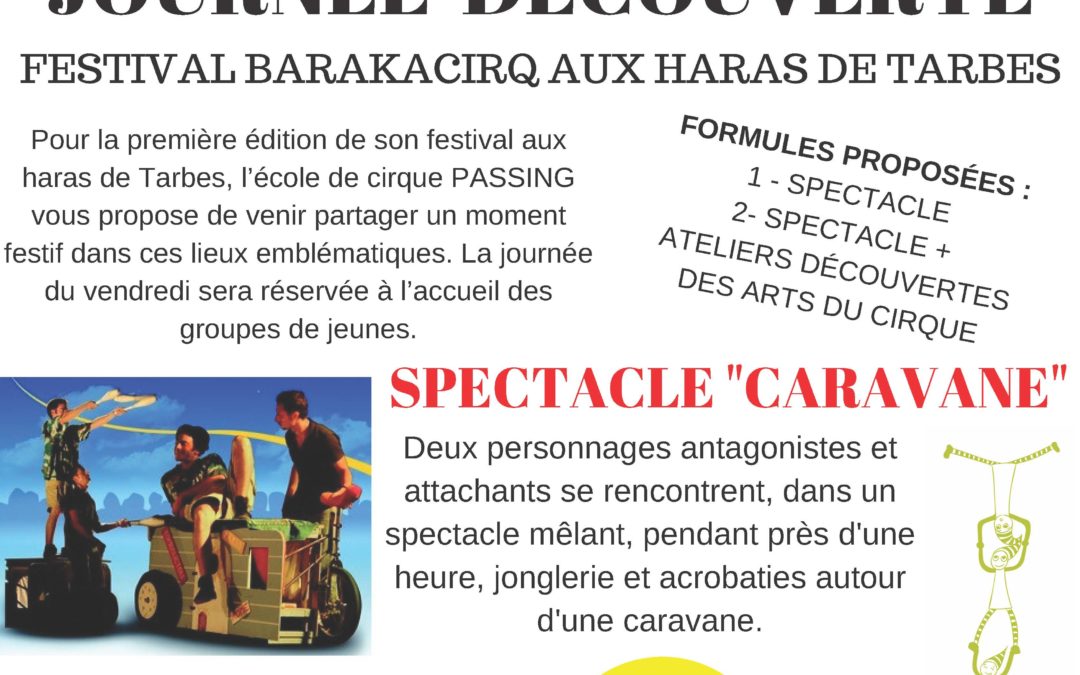 Festival barakacirque affiche version definitive