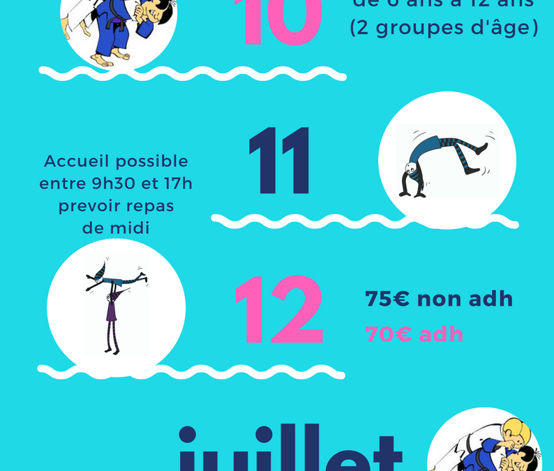 Stage cirque et judo du 10 au 12 juillet