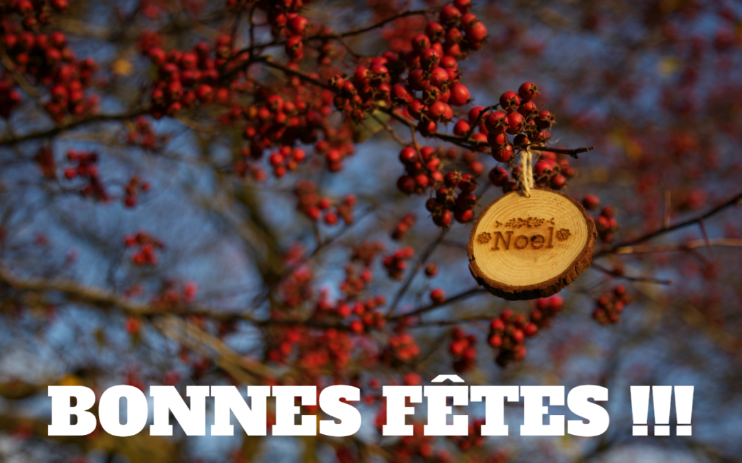 Bonnes fêtes