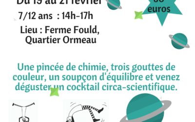 STAGE CIRQUE ET SCIENCES AVEC LES PETITS DÉBROUILLARDS