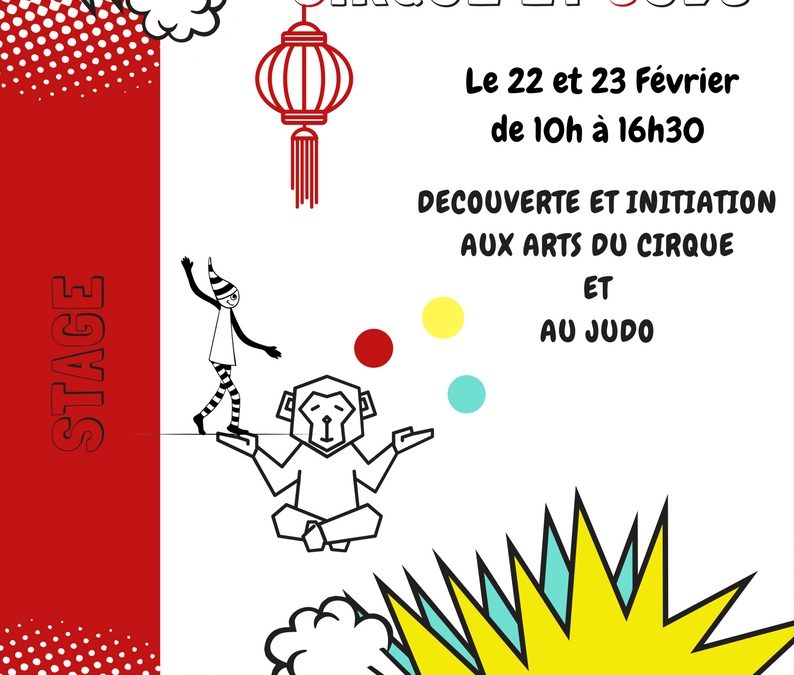 affiche stage et judo