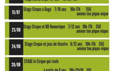 STAGES CIRQUE ETE 2021