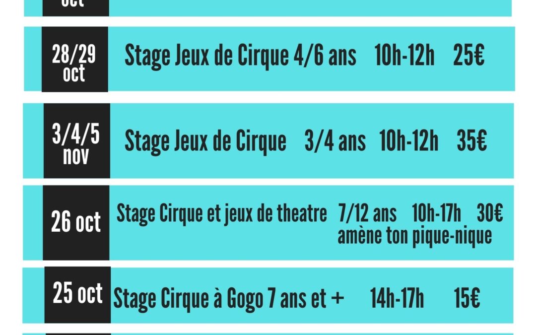 Les stages de cirque d’automne avec Passing