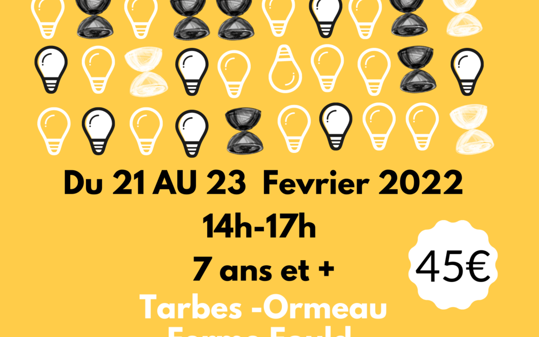 affiche stage cirque et sciences