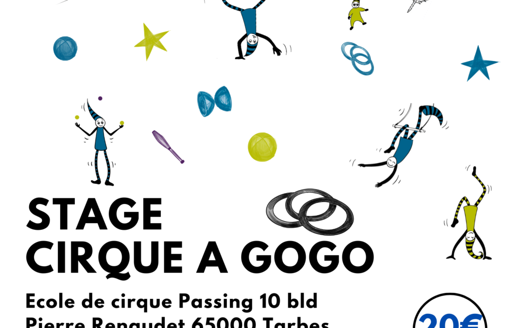 Stages Cirque en Aout