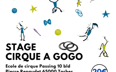Stages Cirque en Aout