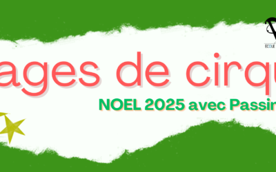 STAGES CIRQUE DE NOEL